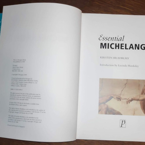 Essential Michelangelo Vintage Art Book like new
