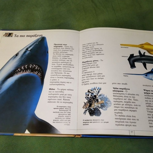 The Sea: The Blue of the Earth children's encyclopedia used
