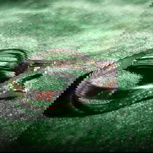 Ασημένιο δαχτυλίδι 925