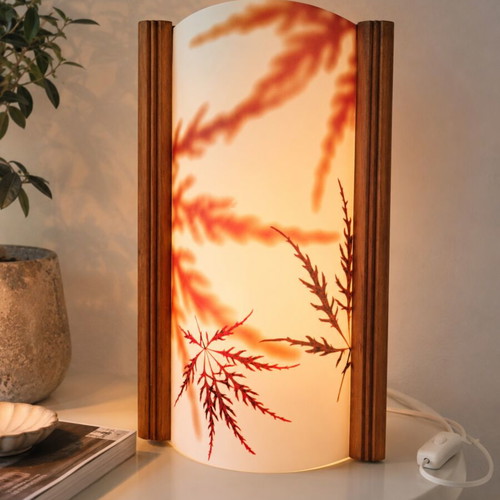 Slamp Flavour S-Tube table lamp by Samuel Parker, Italian design