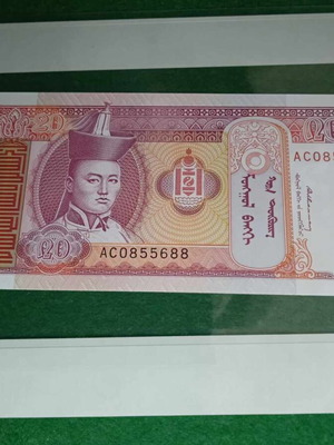 Mongolia 20 Tugrik 1993 banknote new, uncirculated UNC