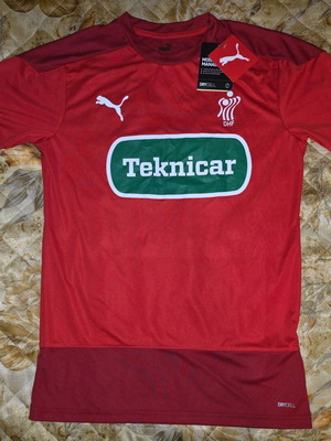 Handball jersey Puma Denmark DHF new with tag size S