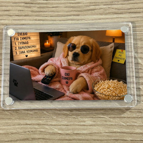 Acrylic fridge magnet "Not Today" new, Lazy Dog Meme 9x6cm