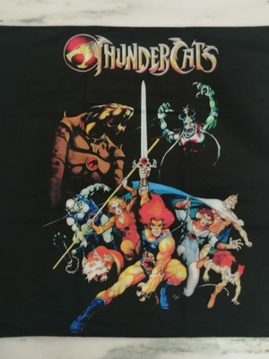 Διακοσμητική μαξιλαροθήκη ThunderCats 45x45 καινούργια