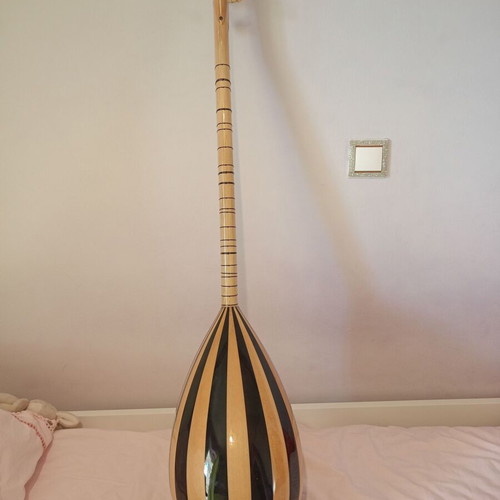 Tambouras student instrument like new with case, pen and portable music stand