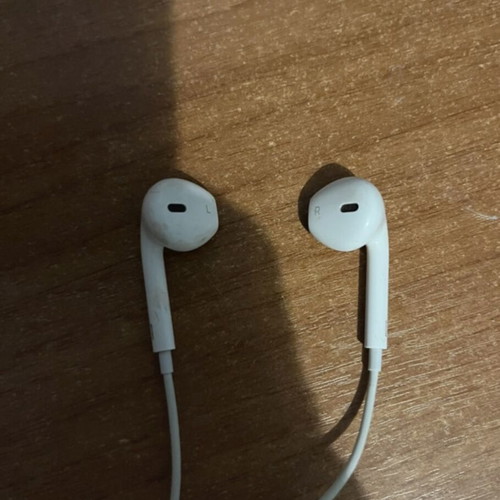 Apple earbuds
