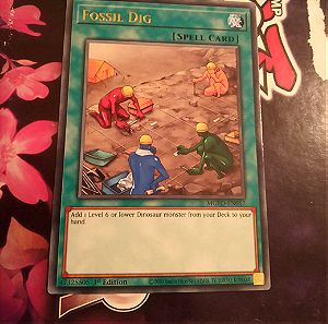 Fossil Dig (Rare)