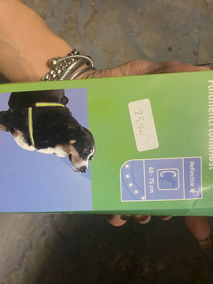 Dog chest collar with reflective harness new