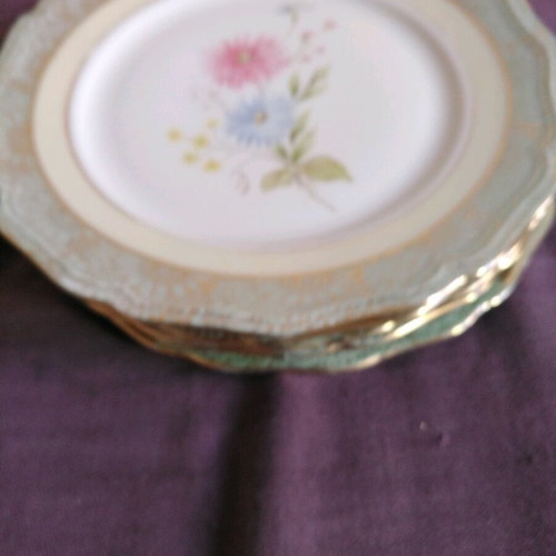 Royal Bavaria Johann Haviland porcelain pasta set of 6 like new