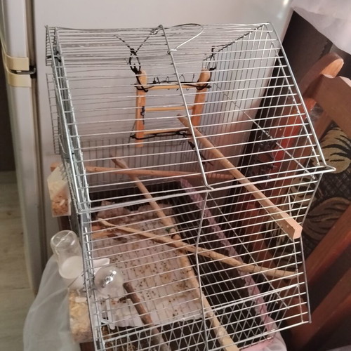 Birdcage for small and medium birds with house-shaped roof and accessories