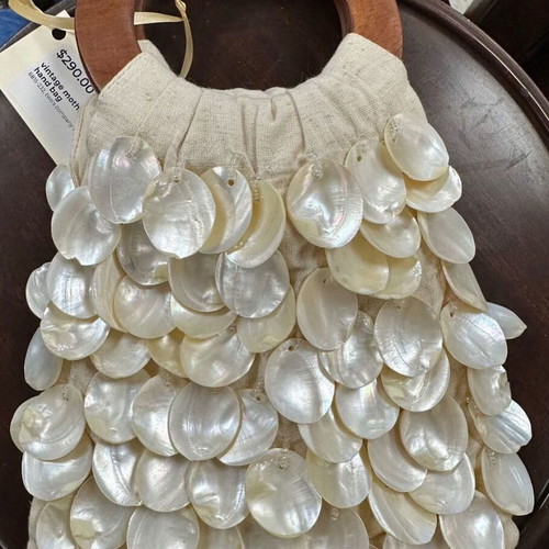 Anomiidae shells collection new, pack of 26 for decoration and crafts
