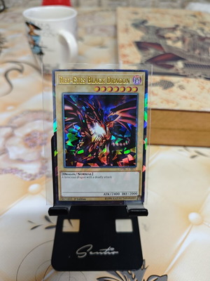 Red-Eyes Black Dragon DPBC-EN021 Duelist Pack Battle City card new