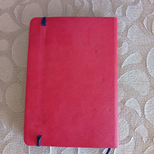 2023 Diary/Agenda large, 20.5x14.5 cm