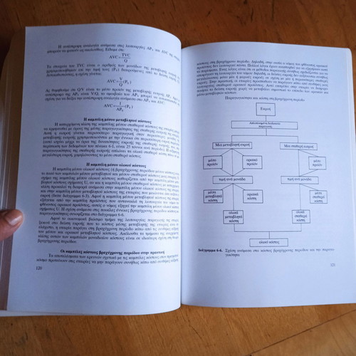 Introduction to Modern Microeconomics book used, Greek