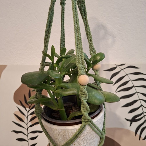 Handmade Macrame Plant Hanger for Pots up to 15 cm, 63 cm Long