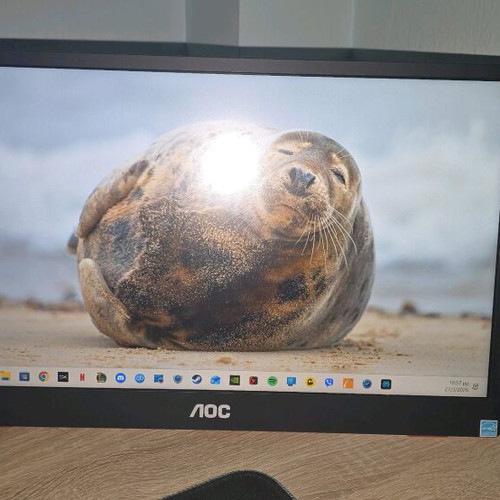 AOC 16G3 IPS преносим монитор 15,6" FHD 144Hz като нов