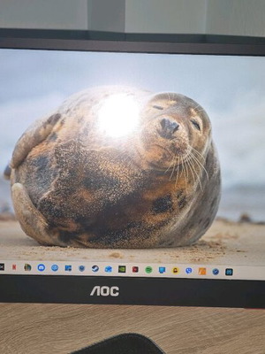 AOC 16G3 IPS φορητό monitor 15,6" FHD 144Hz σαν καινούργιο