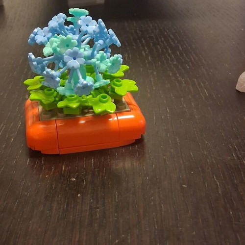 Decorative item new