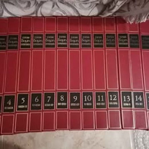 Domis Encyclopedia 18 volumes like new, 8th edition 1976