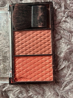 Fabb blush palette used