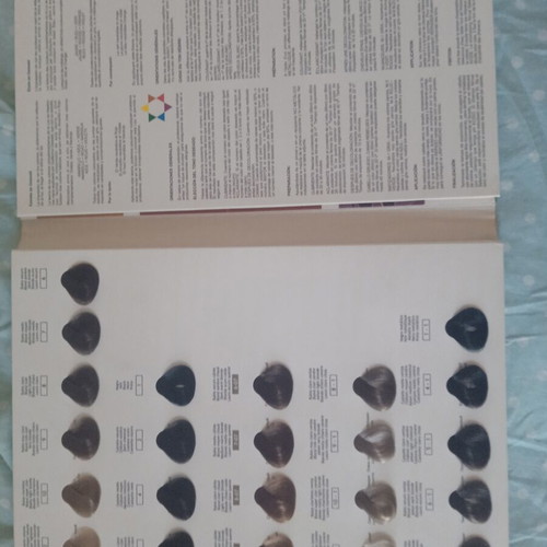 Nirvel professional hair color chart