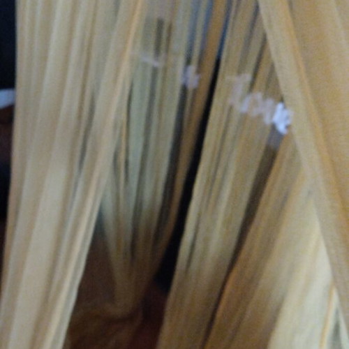 Mustard Mosquito Net used