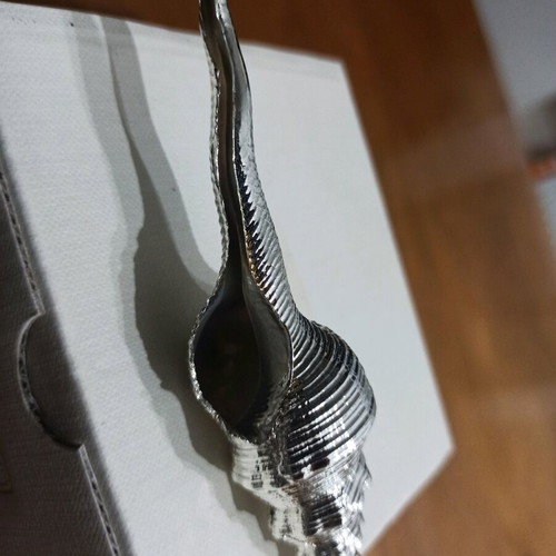 Decorative Shell Argenesi Italian Design new, 13 cm