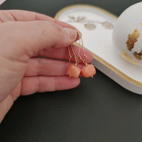 Summer coral earrings with jade & steel details