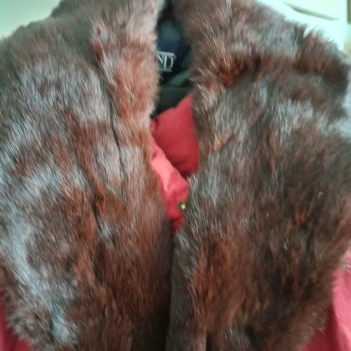 Fur collar for coat jacket used, brown honey color