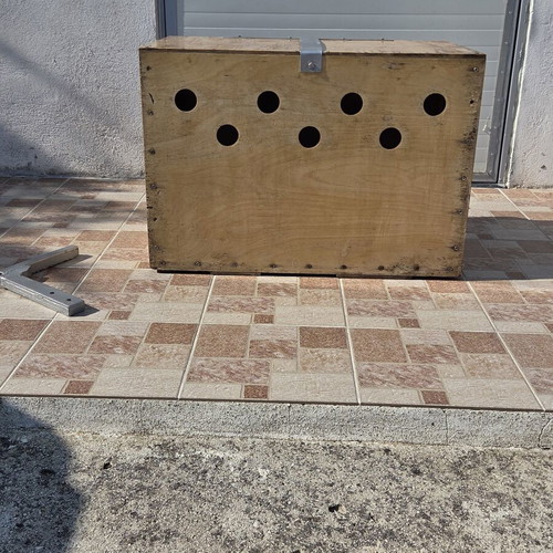 Wooden dog transport cage with tow hitch