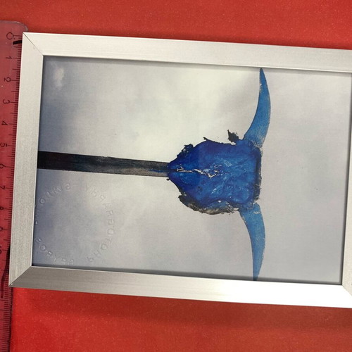 Authentic Taurus photo signed, 16x12 cm