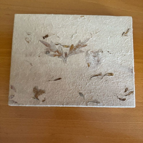 Letter writing set with dried flowers, new, 9 envelopes and sheets