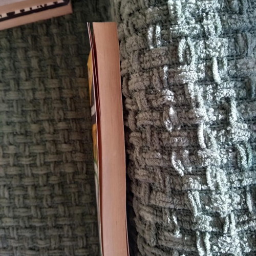 The Arlington Crest used book by Susannah Kells