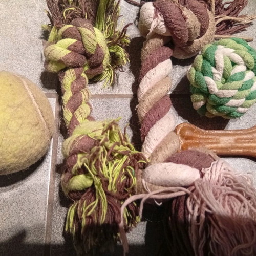 Pet toys used, green and brown