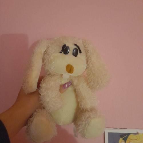 Plush bunny new