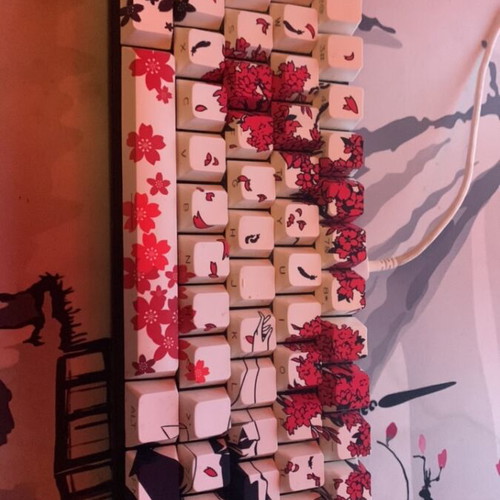 60% custom keyboard used