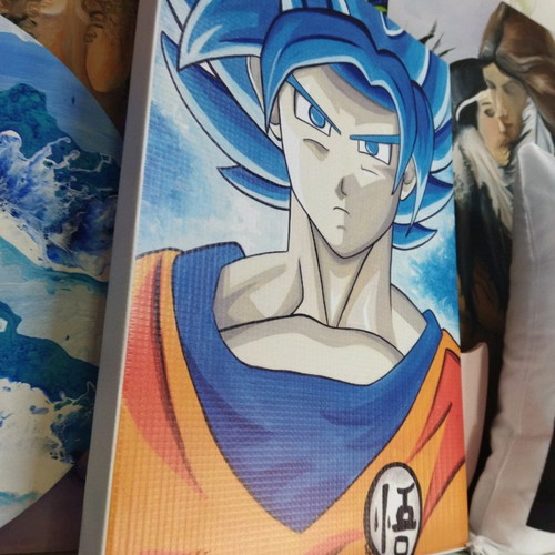 Goku canvas on stretcher like new, 24x34cm