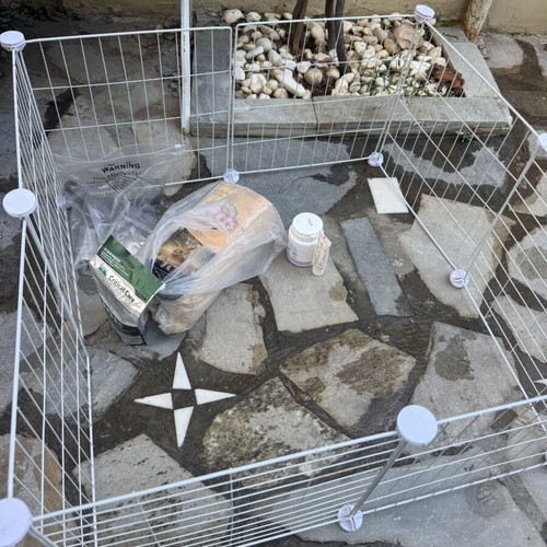 Rabbit cage and enclosure with food, bedding, and accessories used