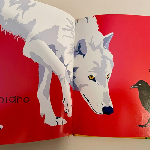 Animali e opposti children's book like new in Italian