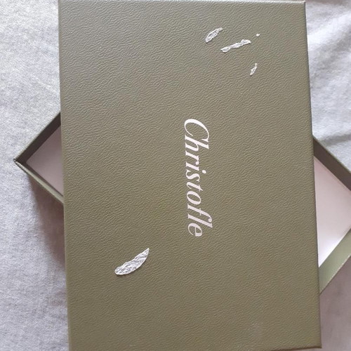 Silver-Plated Rectangular Tray Christofle new, engraved, 10x15 cm
