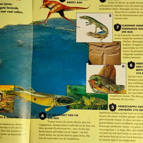 Dinosaurus No.1 DeAgostini 1993 used vintage without cover
