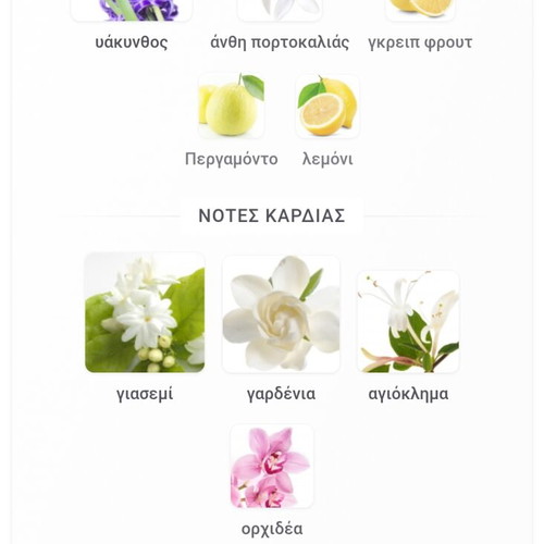 Cristalle by Chanel Eau de Toilette and Beyond Paradise by Estée Lauder mini perfumes new