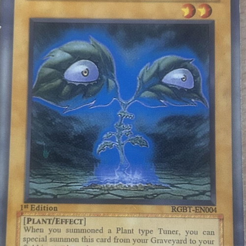 Dark Verdure Yu-Gi-Oh! card, Raging Battle series, NM English edition
