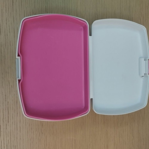 Food container and plastic cup like new with princess and Peppa themes