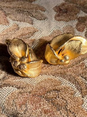 Earrings with clips like new