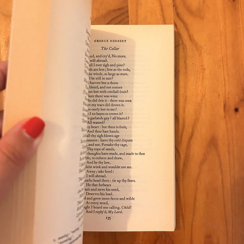 The Metaphysical Poets book, English