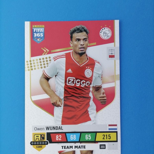Wijndal FIFA 2023 card like new