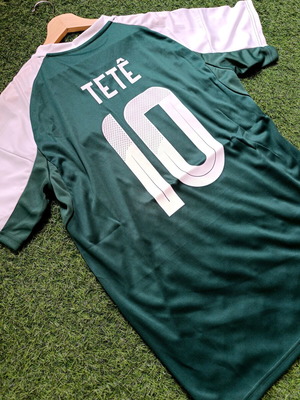 Panathinaikos 25/26 jersey size L Tetê #10