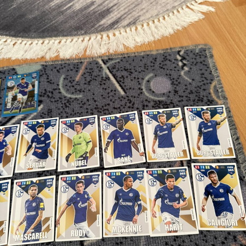 Adrenalyn XL Schalke stickers used, complete set
