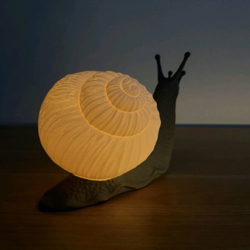 3D Printed Snail Lamp new